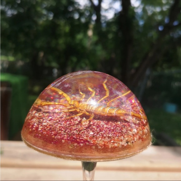 Vintage Real Scorpion Insect Dome 3.5" Paperweight Taxidermy from Maack Co. - Picture 2 of 7